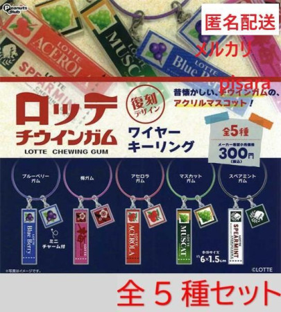 Lotte Chewing Gum Wire Key Ring Complete Set of 5 Gacha.