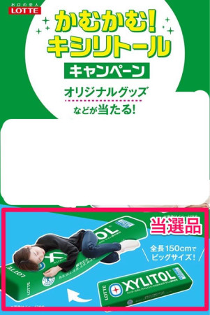 Tělový polštářek Lotte Xylitol Stick Gum Cushion.